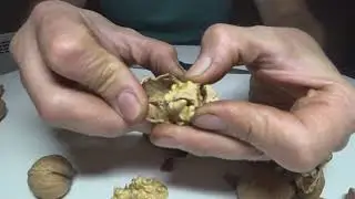 Интенсивные молдавские сорта грецкого ореха. 