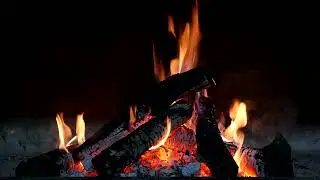 Campfire & Night Ambience 3 Hours | Sleep, Relaxation, Nature