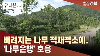 [네트원주]버려지는 나무 적재적소에..'나무은행' 호응/ 안동MBC