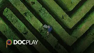 After Work | Official Trailer | DocPlay