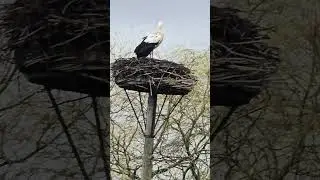 #nature