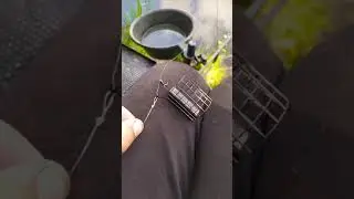 МОНТАЖ Инлайн на Леща! Оснастка для Фидера 2021! 
