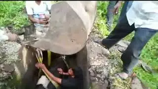 प्राणी मित्रांनी वाचवले मुख्या जनावराचे प्राण।।