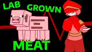 Breakthrough Project - Lab Grown Meat