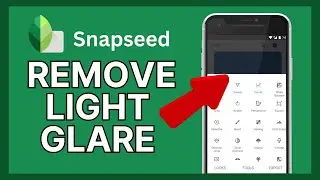 How to Remove Light Glare in Snapseed 2024?