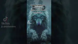Свобода