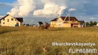 Нерей