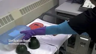 Dental Assisting - Receiving and Sorting