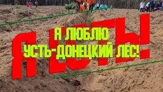 «Я есть!» - Я люблю Усть-Донецкий лес!