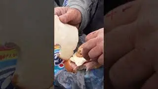 The Fisherman's Sandwich 