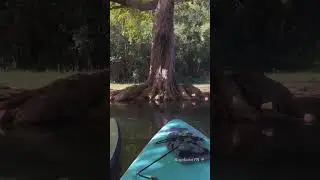Search for Peace on a SUP and You'll Find...
