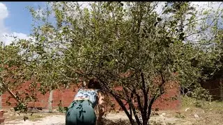 ACEROLAZINHA ON THE TREE MAKING JUICE FOR FATHER'S DAY FIXING THAT SIMPLE LUNCH
