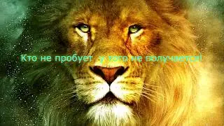 Neverwinter  Простые пухи  Земли не за 20кк!!!  М18