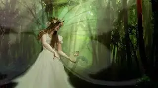 Day in the life of a Fairy!