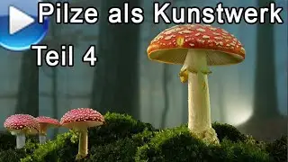 Pilze als Kunstwerk, Teil 4: am Comp. optimieren, Stachelbärte, Gürtelfüße, Träuschlinge, Schüppling