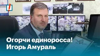 Огорчи единоросса! Игорь Амураль