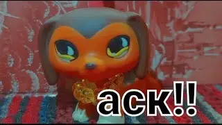 LPS ASK