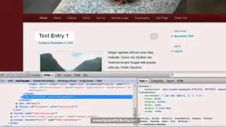 How to use Firebug to Modify Your WordPress Site's CSS - Part2