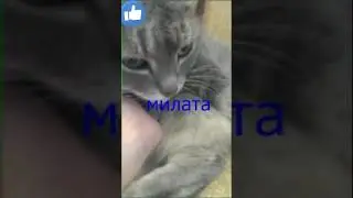 мя