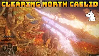 Let's Play Elden Ring (116) Clearing Caelid North
