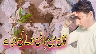 bad news //gaon ma barish// hone// waja se😭