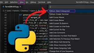 How to Run a Python File in Visual Studio Code (STEP BY STEP and WITHOUT ERRORS)