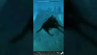 Dog paddle fail 