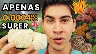 Por que estes 5 cogumelos são melhores que os outros 3 milhões
