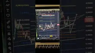 🔥 Dogecoin — стоит ли покупать в 2025? Полный разбор и прогноз цен