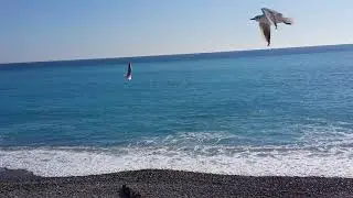 Море. Ницца. 08.02.2018