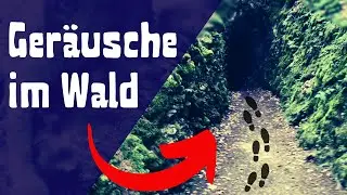 DIE HÖHLE IM WALD