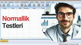 SPSS ile Normallik Testi nasıl yapılır?