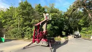 Baumfällung am Callenberg