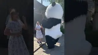 У тебя сегодня День рождения #panda #umka #Амиго #Умка #dance #umkarostov #мишкаумка #амиго