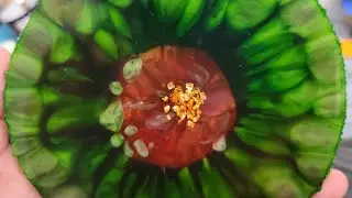 DRAGON FLOWER, OMG!! Gorgeous!!! #epoxyresin #diycrafts #resincoasters