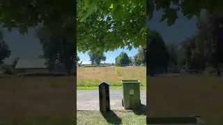 Idag har jag frilagt så inte lönnens grenar vilar på ladans tak. Varm blev jag. 😅