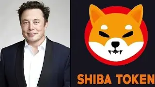 Breaking News! SHIBa INU biggest BURN coming soon | DONT SELL ! Hold Hold