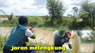 Mancing Ikan Betok Dapat Bonus Ikan ini