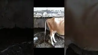 Подземные катакомбы в Албании на случай ядерной войны 