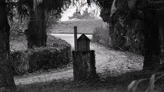 28 foto nello scatto originario in formato RAW con modifica  BW