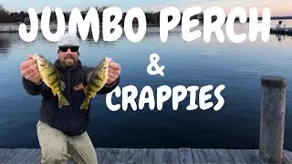 CRAPPIES AND PERCH OPEN WATER 2024 SEASON