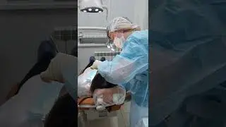 routine day with dentist