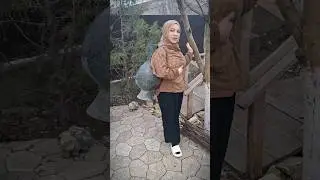 Наира Рахманова-Яргъи руш 
