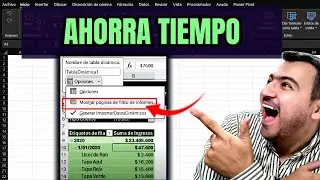 Como tener la misma Tabla Dinámica en Varias Hojas Diferentes con Distribución Paginado en Excel