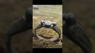 Знайшли в лісі рарік 