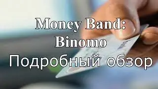 Про заработок в интернете подробно разберём этот вопрос!