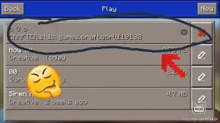 MAKING A PUBLIC SERVER| BAD IDEA| MINI WORLD