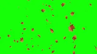 FALLING fall leaf green screen