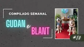 COMPILADO #10 GUDAN O HUSKY