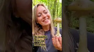 My Beautiful Death Cap Mushroom | Deadly Mushrooms 
